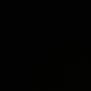 Meet your Posher, Stephen